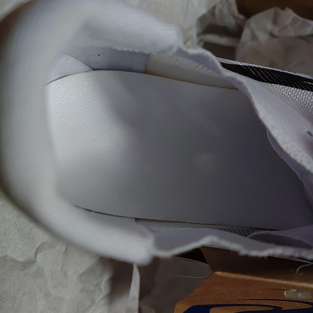 アシックス SPEED RAY 26.5