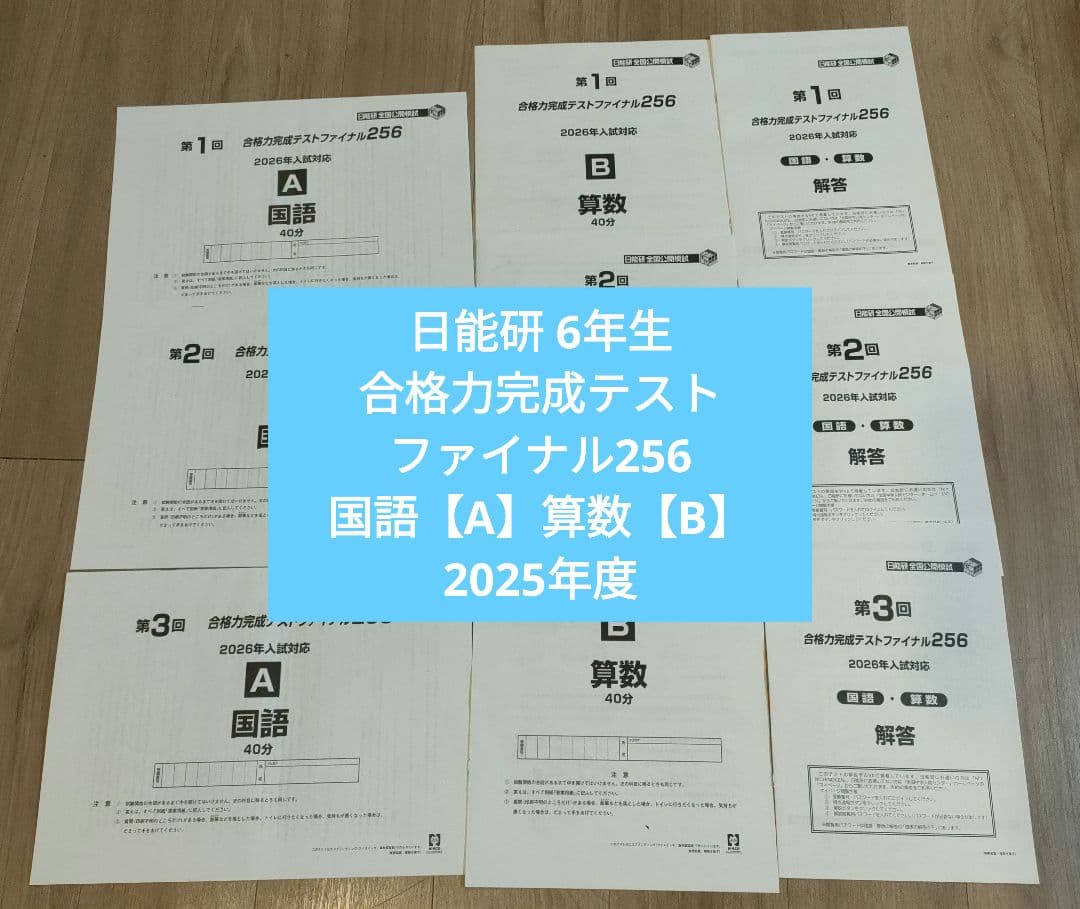 【最新版】日能研 6年生 合格力完成テストファイナル256 国語算数