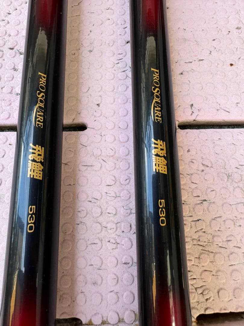 鯉釣り　飛鯉　Daiwa 2本セット