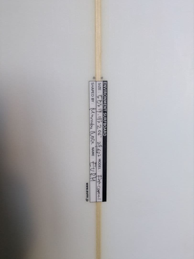 a*e様 サーフボード　フィッシュ　ツイン　TWIN fish fcs2 EVR