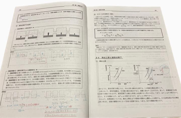 【非売品】鉄緑会 高３化学 授業冊子 寺田先生