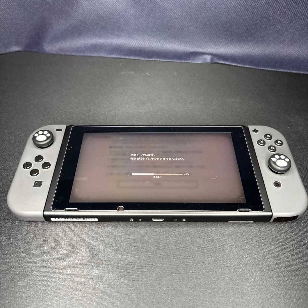 Nintendo Switch 本体 グレー（2019年購入）