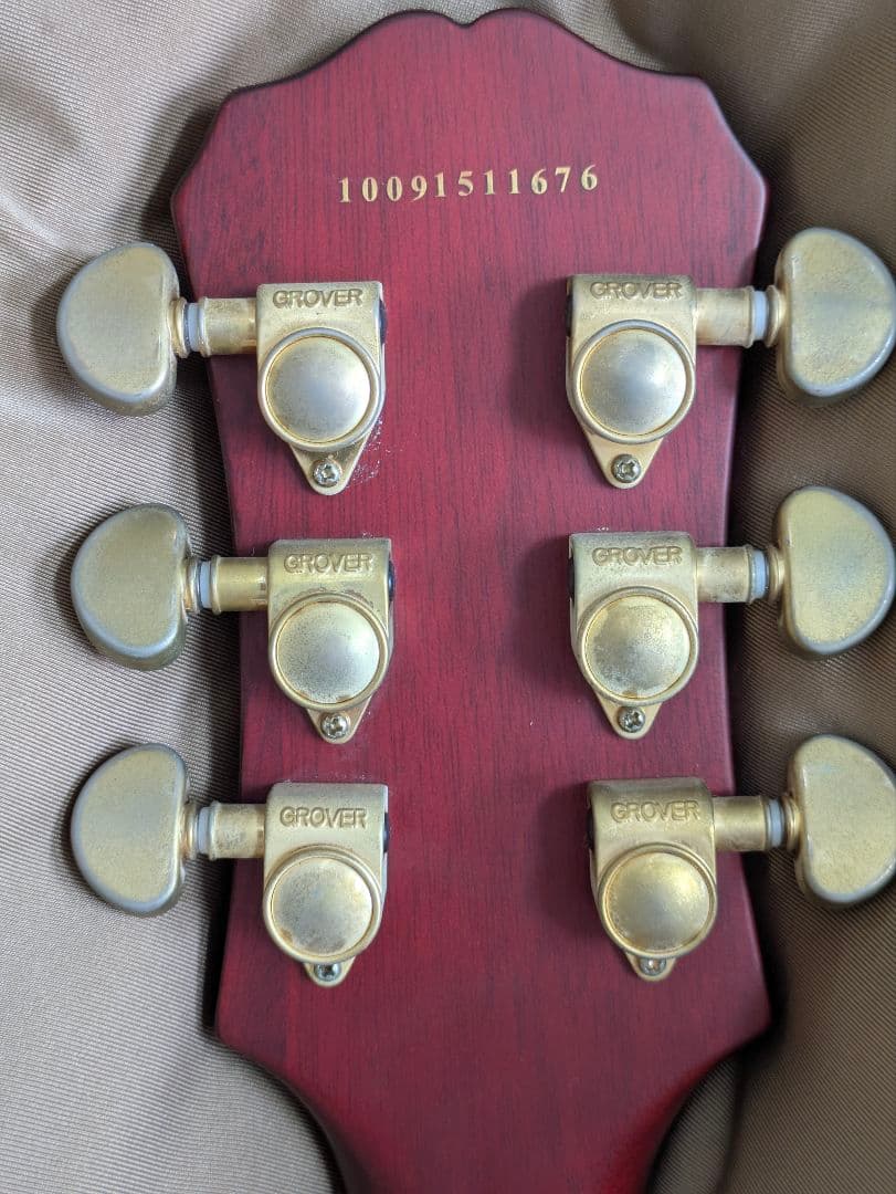 ギター Epiphone Les Paul Custom Prophecy GX