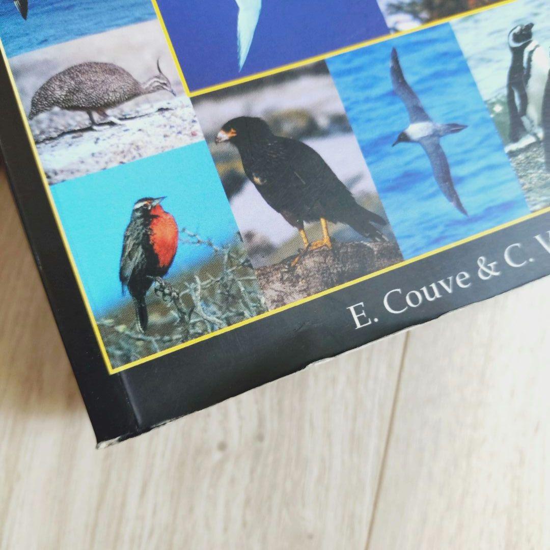 パタゴニア ティエラ・デル・フエゴ 南極半島の鳥　鳥類の写真ガイドブック