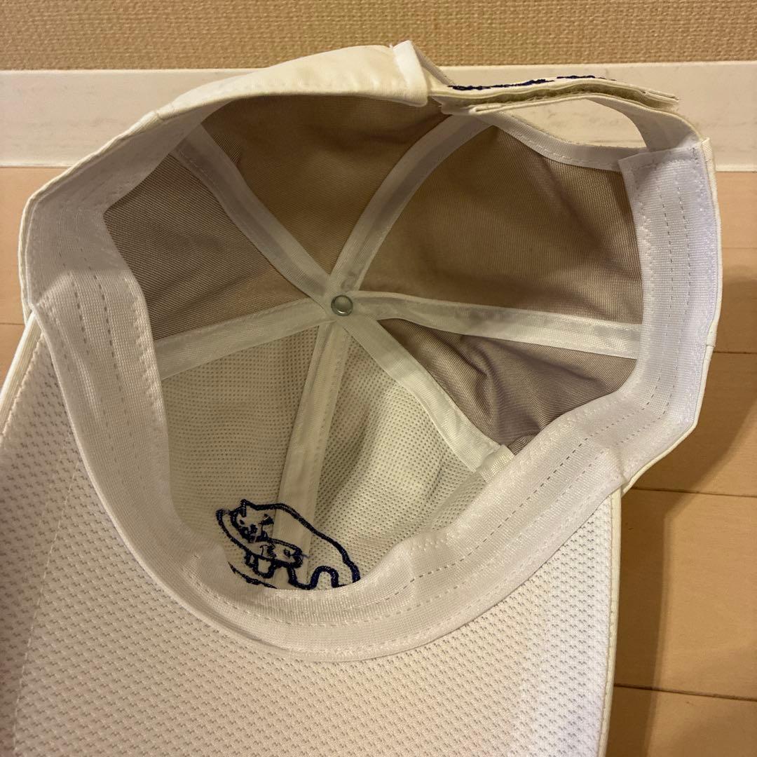 Dongwa ドンワ へら竿 雲舞 15尺 & 非売品キャップ未使用