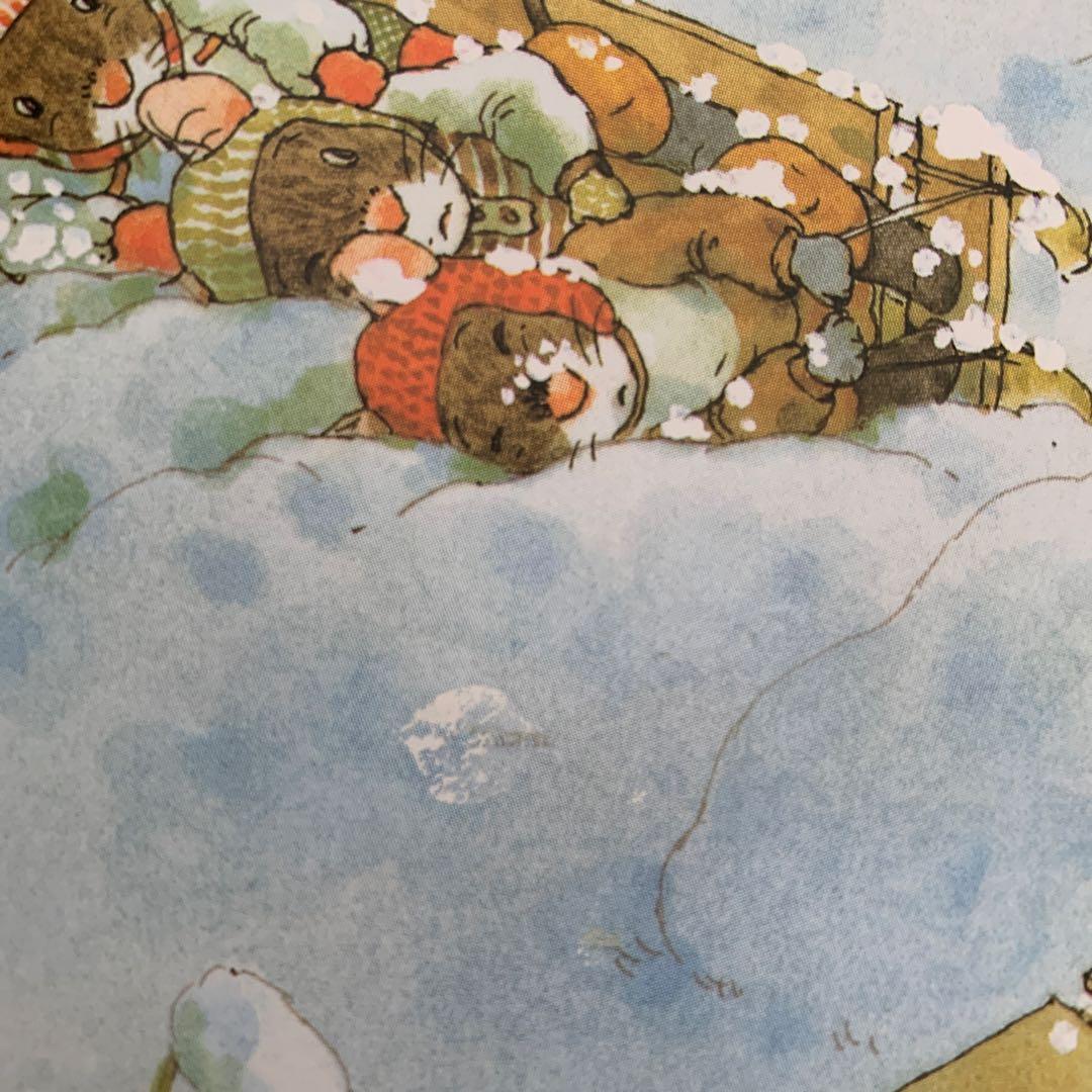 14ひきのねずみのシリーズ12冊　箱入り