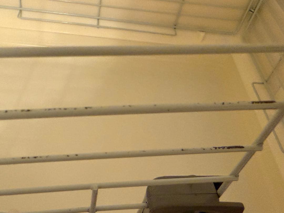 すのこ有 サンコー イージーホーム エボ 60 ホワイト