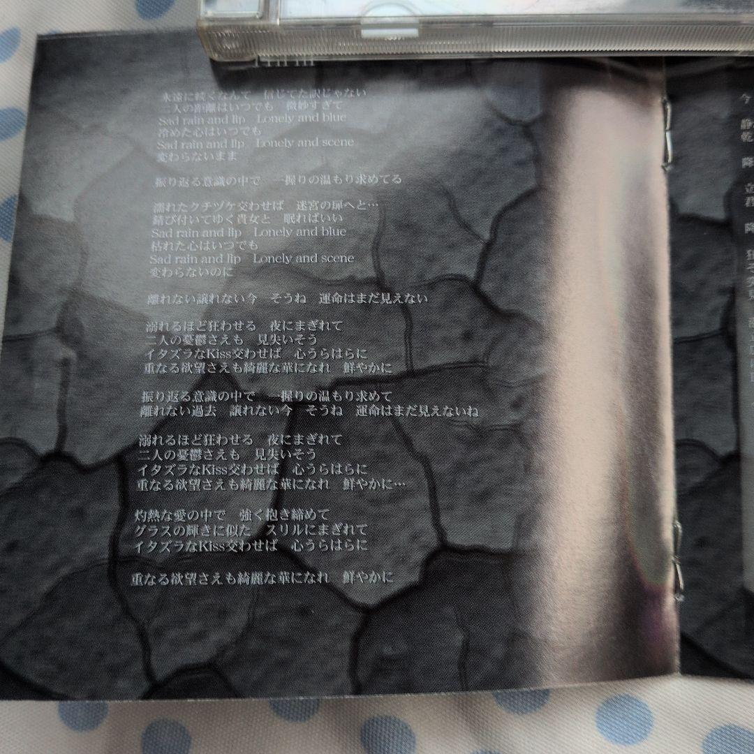 邦楽 Lucide synthetic brain AMCM-4336