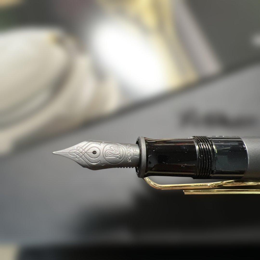 Pelikan ペリカン ef スペシャルエディションM809 ブラックマット