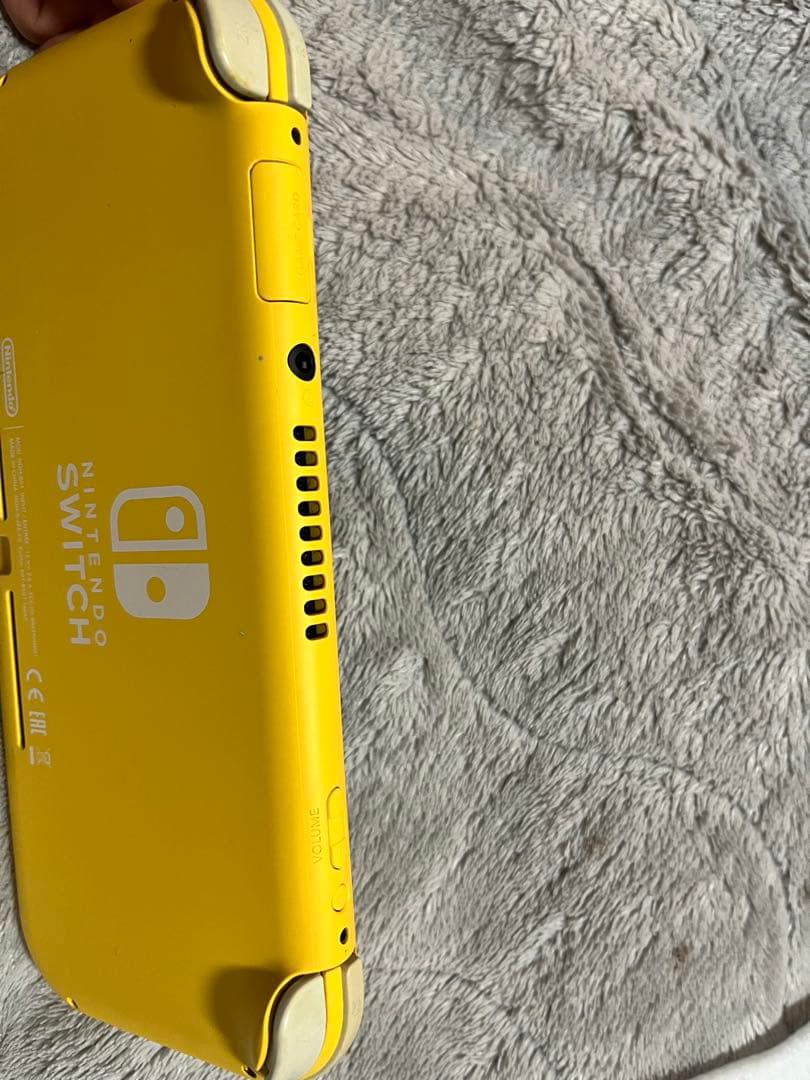 スイッチライト ジャンク ⚠️