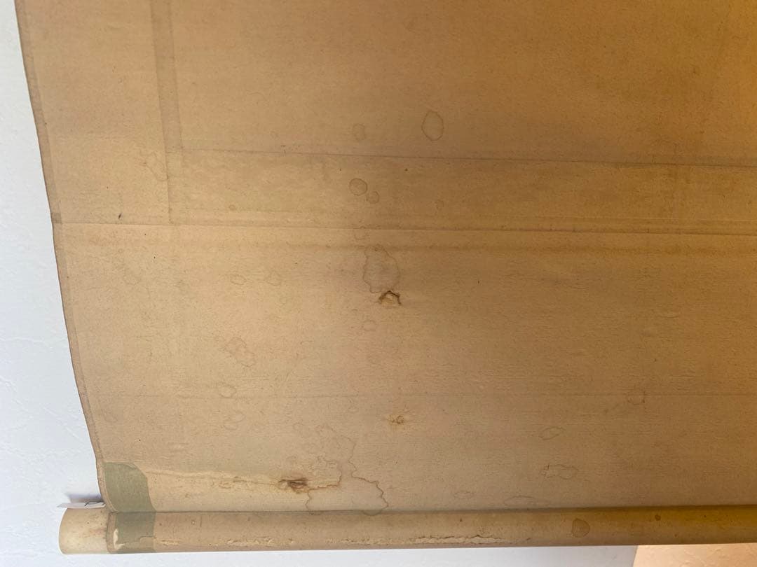 岡田錬石　錬石　飛鯉　鯉　躍鯉　出世鯉　日本画