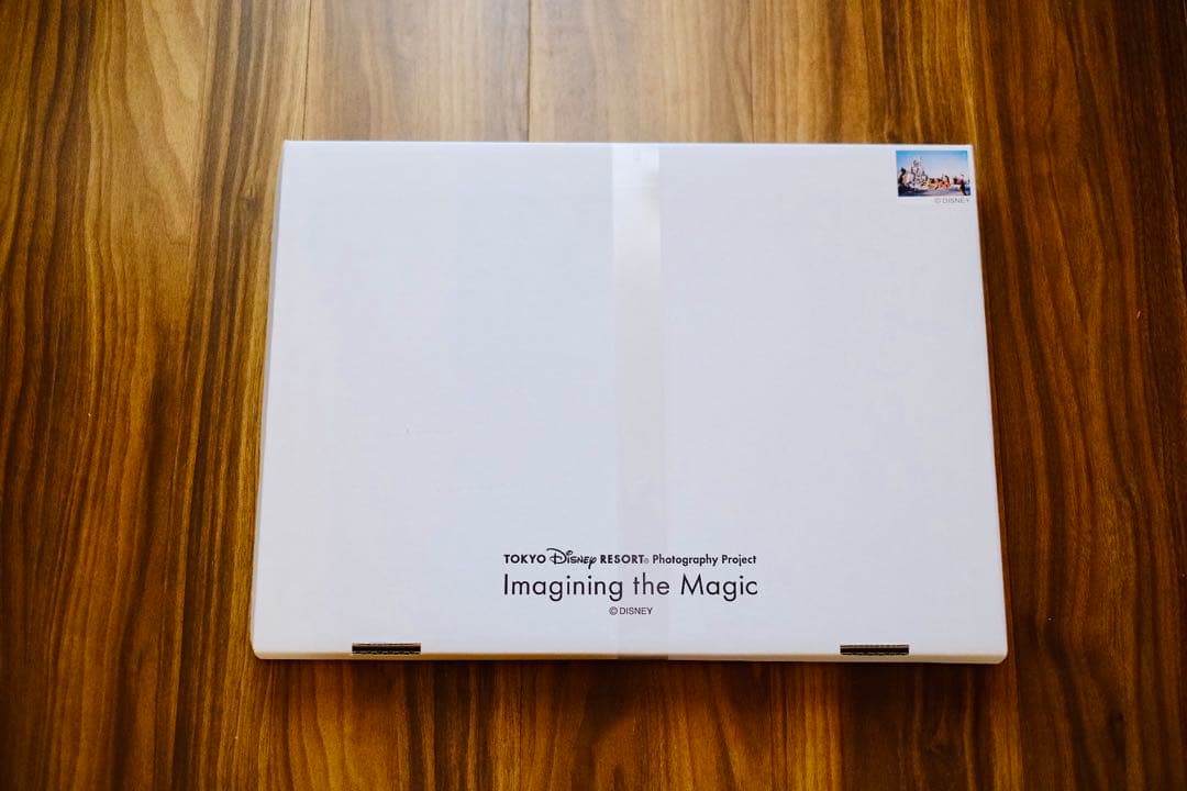 ✨完全未開封✨アートパネル ディズニー40周年 イマジニングザマジック