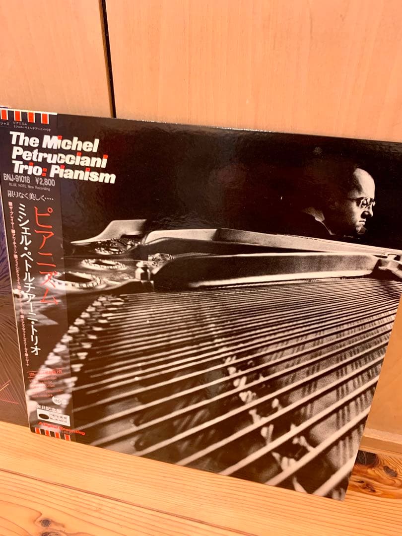 michel petrucciani日本盤　レコード　LP Jazz 2枚セット