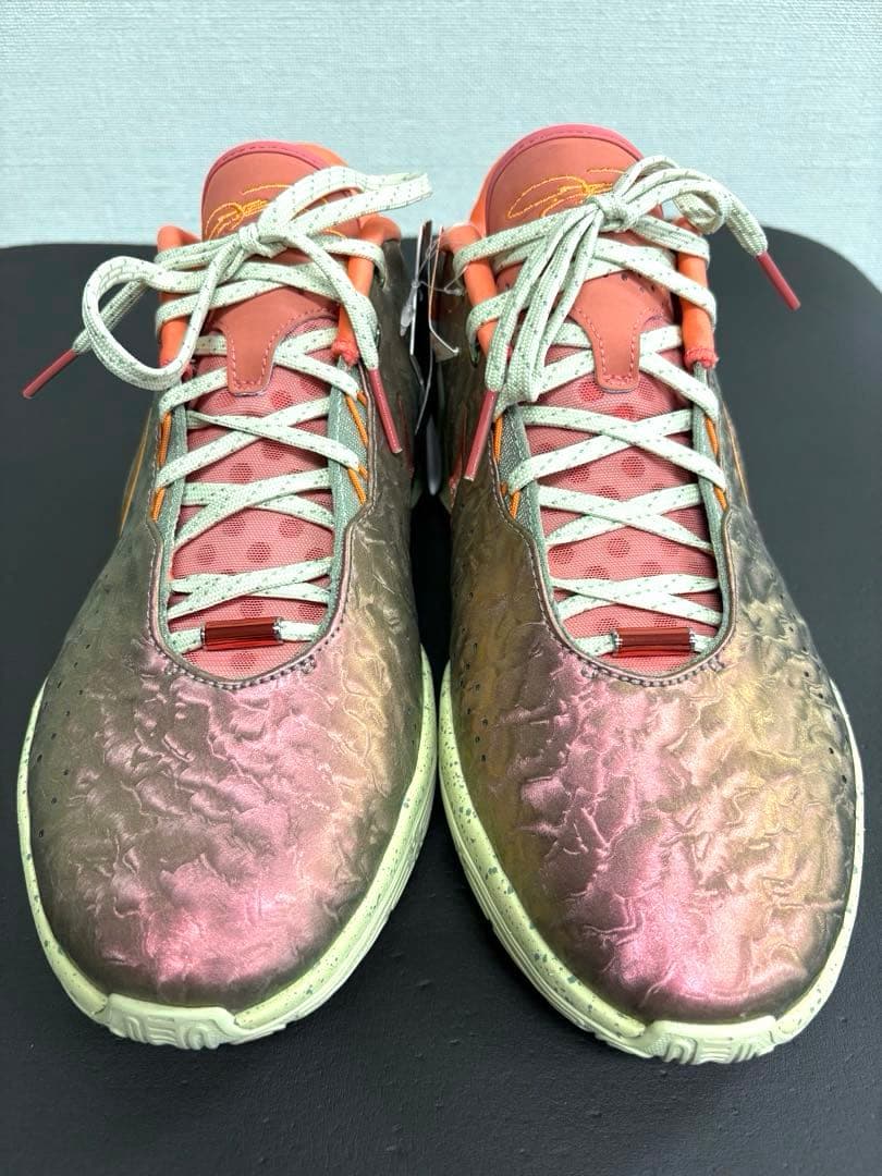 シューズ(男性用) NIKE LEBRON XXI EP \"QUEEN CONCH\" 28cm