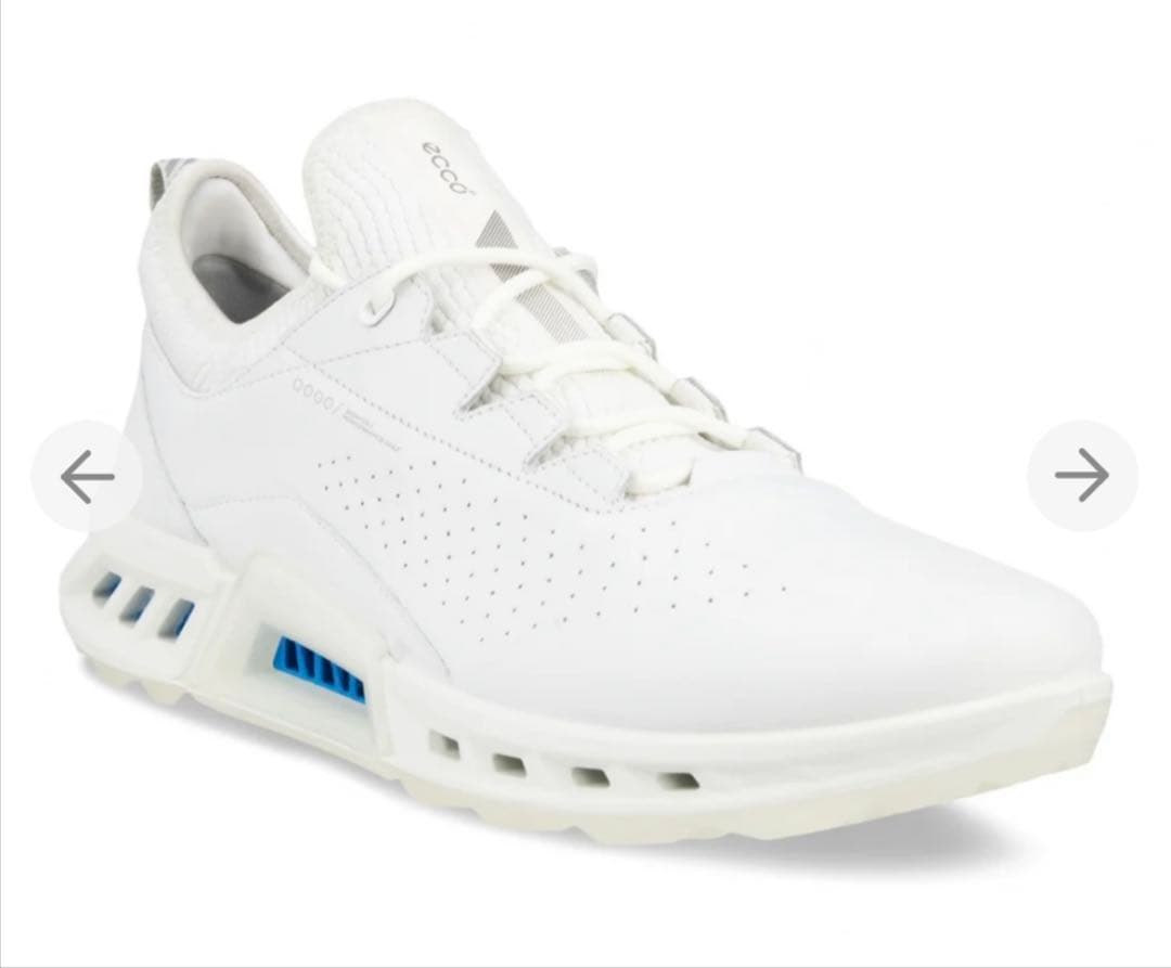 ecco バイオム C4 BIOM