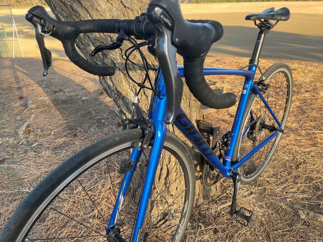 2020年　ジャイアント　コンテンド2 美品　ブルー　Mサイズ　500mm