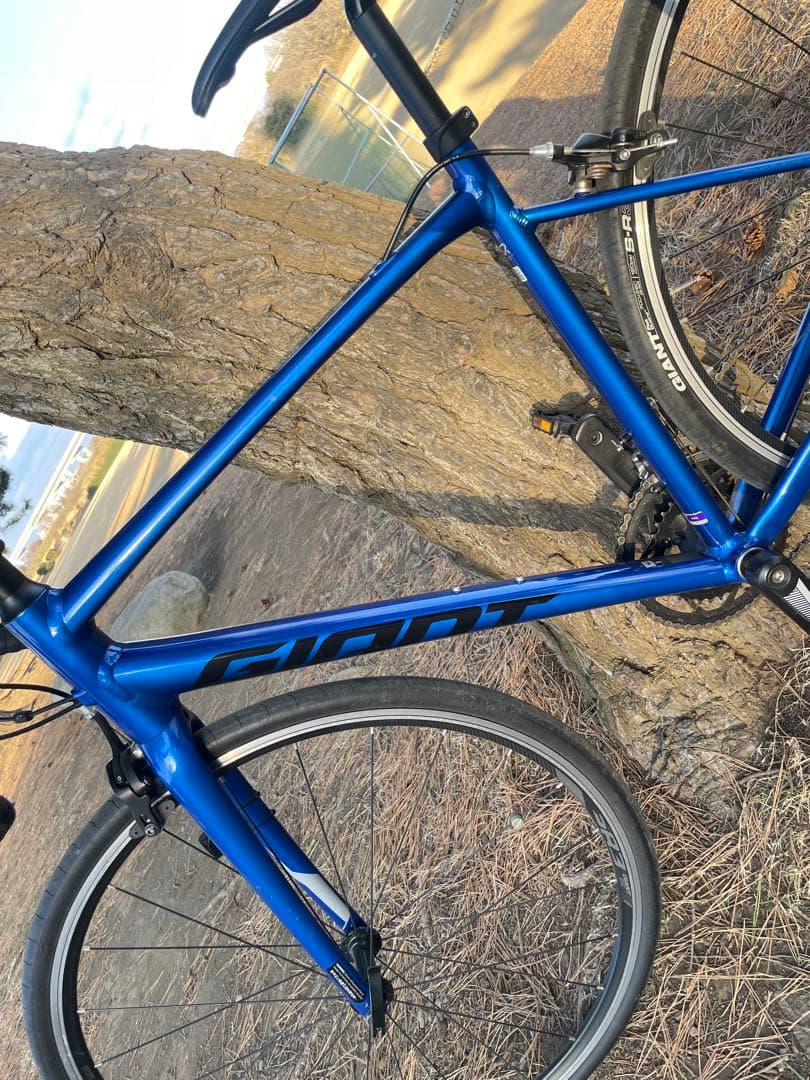 2020年　ジャイアント　コンテンド2 美品　ブルー　Mサイズ　500mm