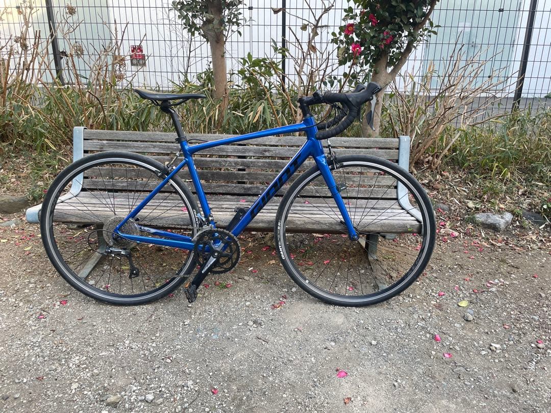 2020年　ジャイアント　コンテンド2 美品　ブルー　Mサイズ　500mm