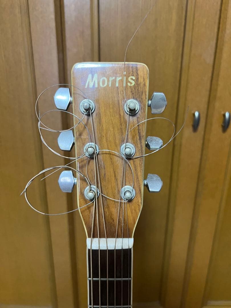 ギター MORRIS MD-515