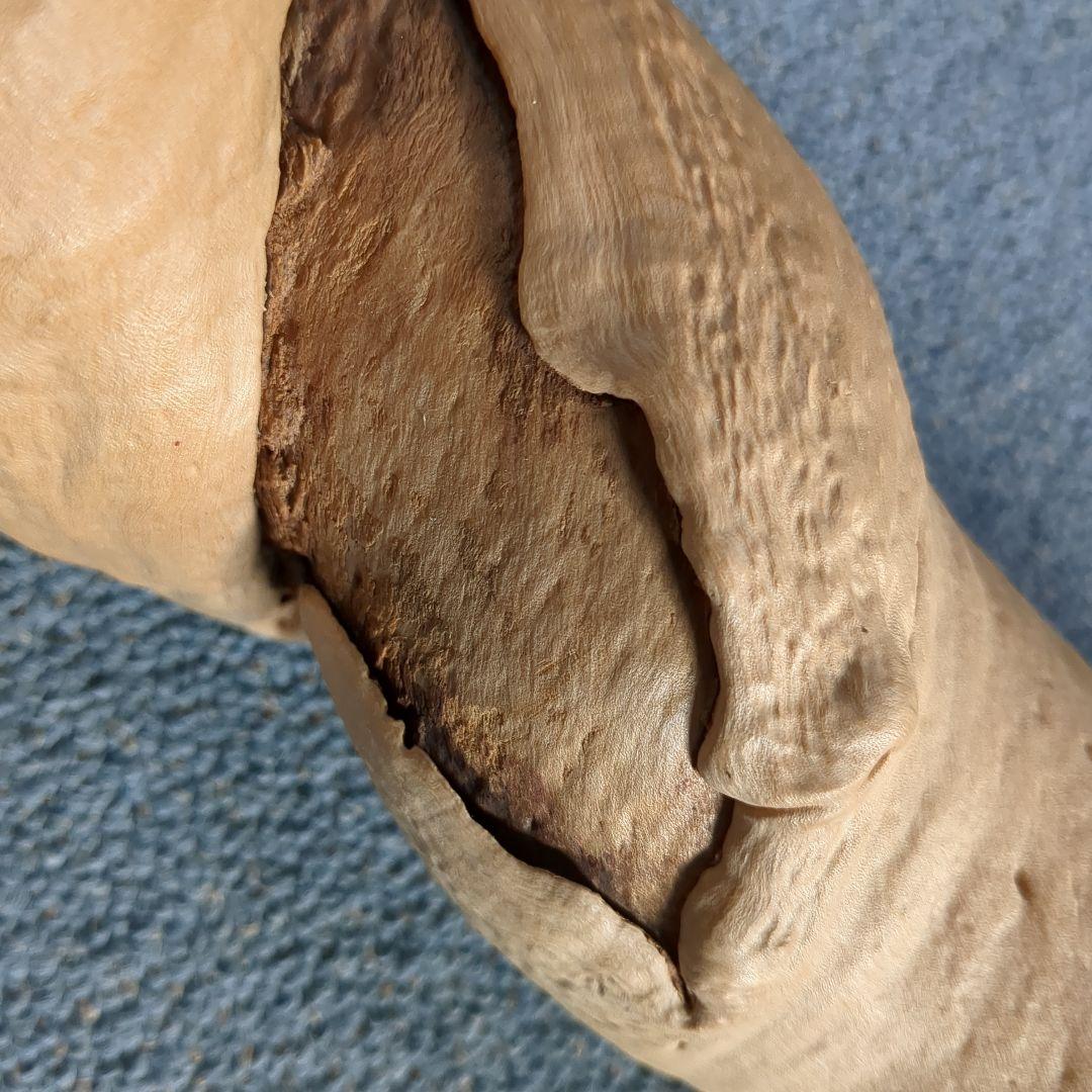 天然木 自然造形 蛇形希少 螺旋状 ねじれ木株 アート作品 高さ約61cm