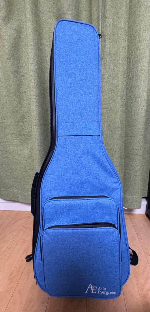 Aria Pro II Evergreen エレキギター 専用ギグバッグ付き