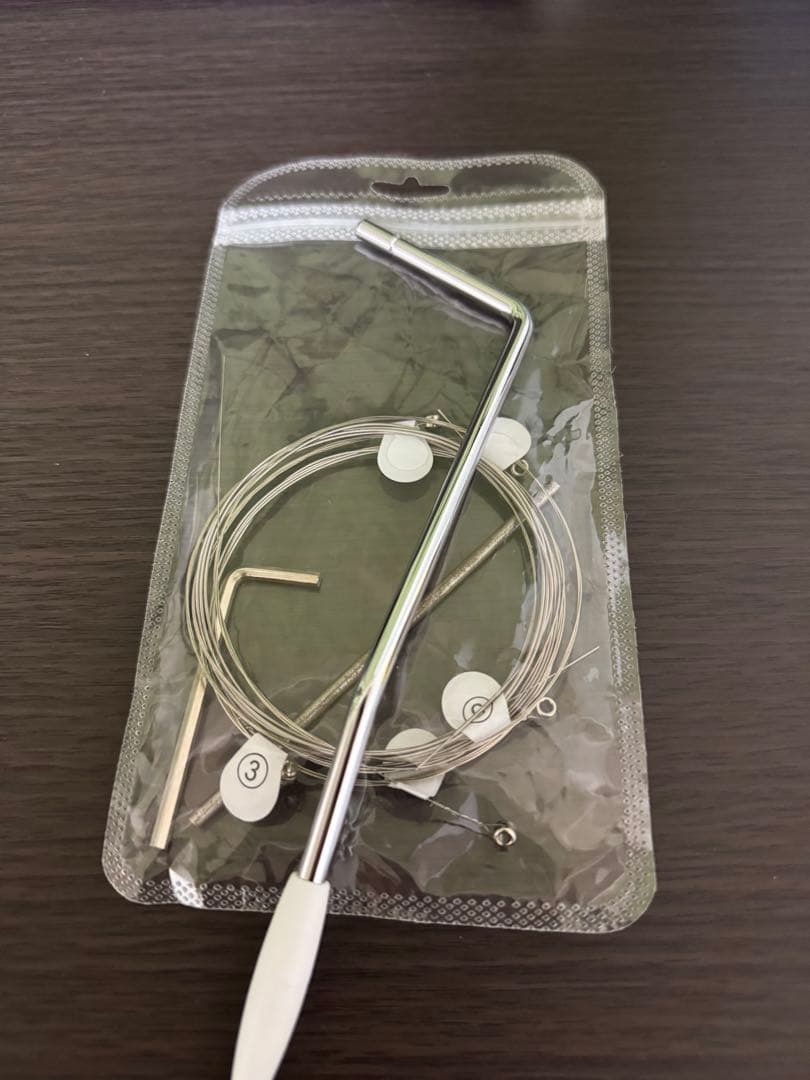 Aria Pro II Evergreen エレキギター 専用ギグバッグ付き