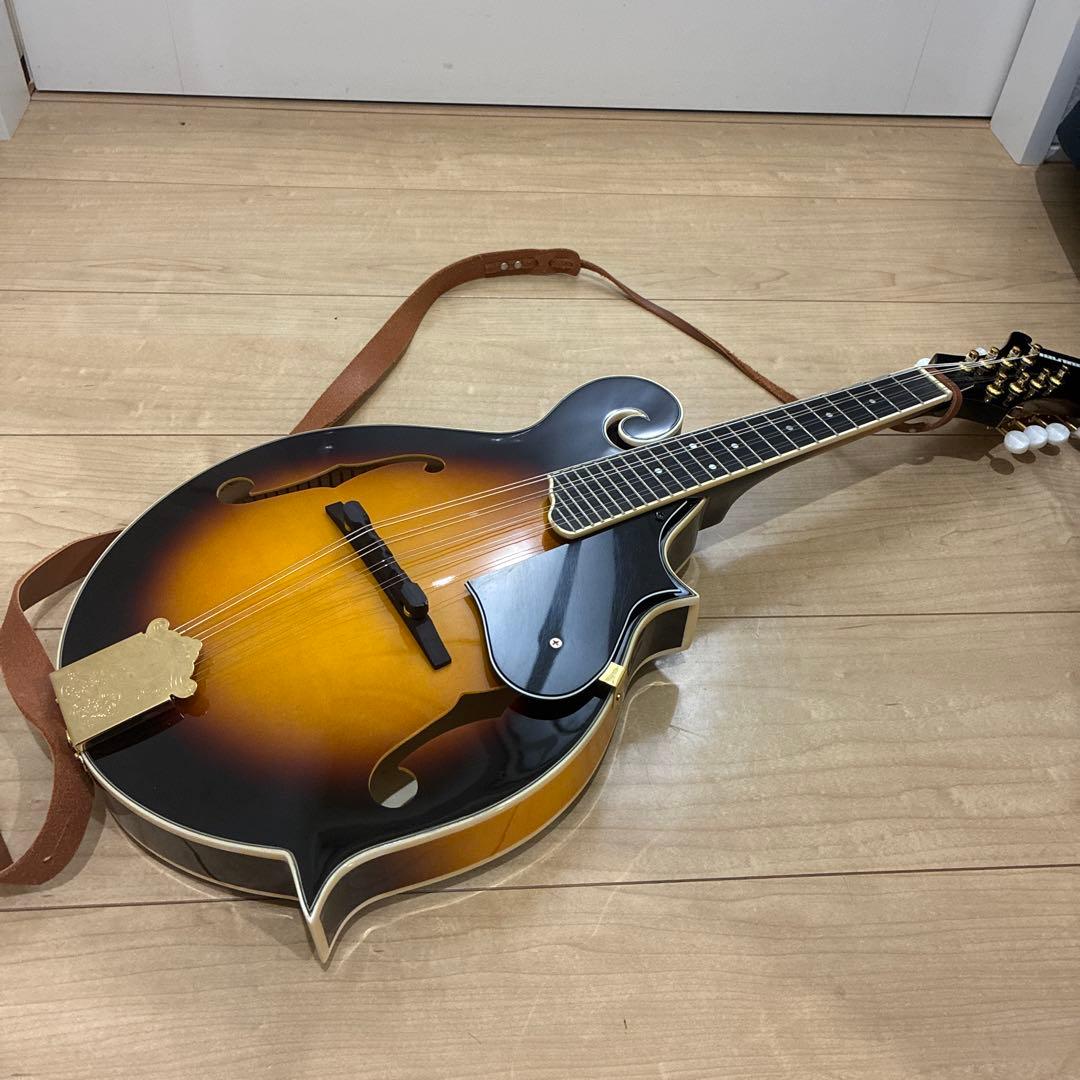 プレイテック　Playtech F型マンドリン　PFM10F ギグバック付き！