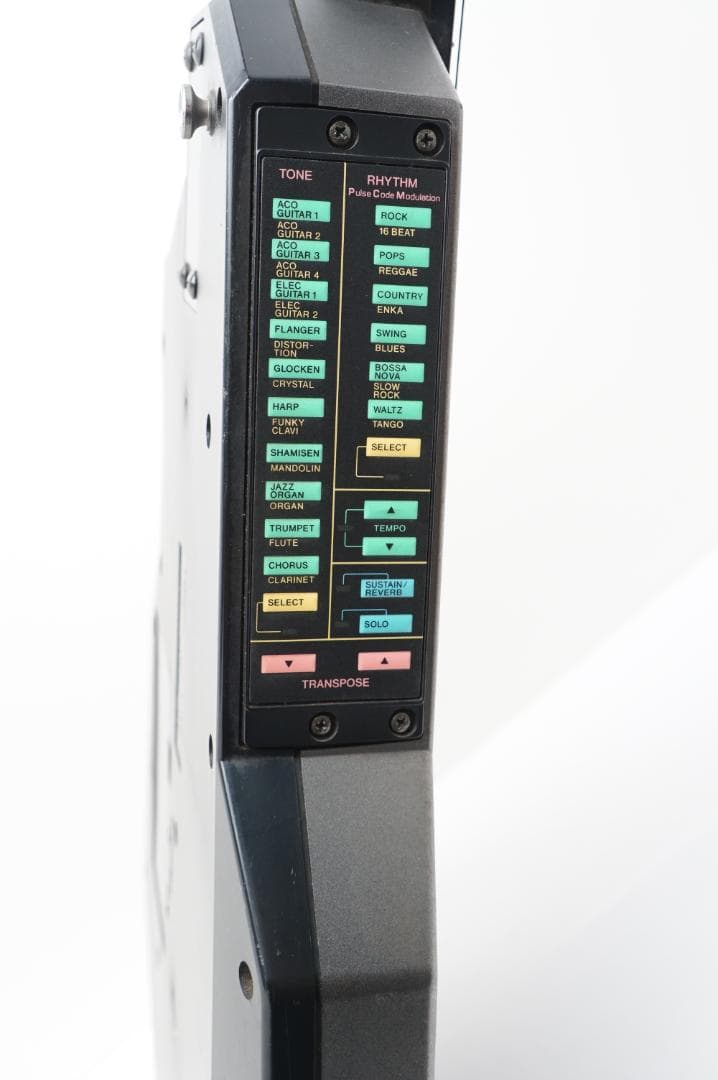 ギター CASIO dg-20 digital guitar