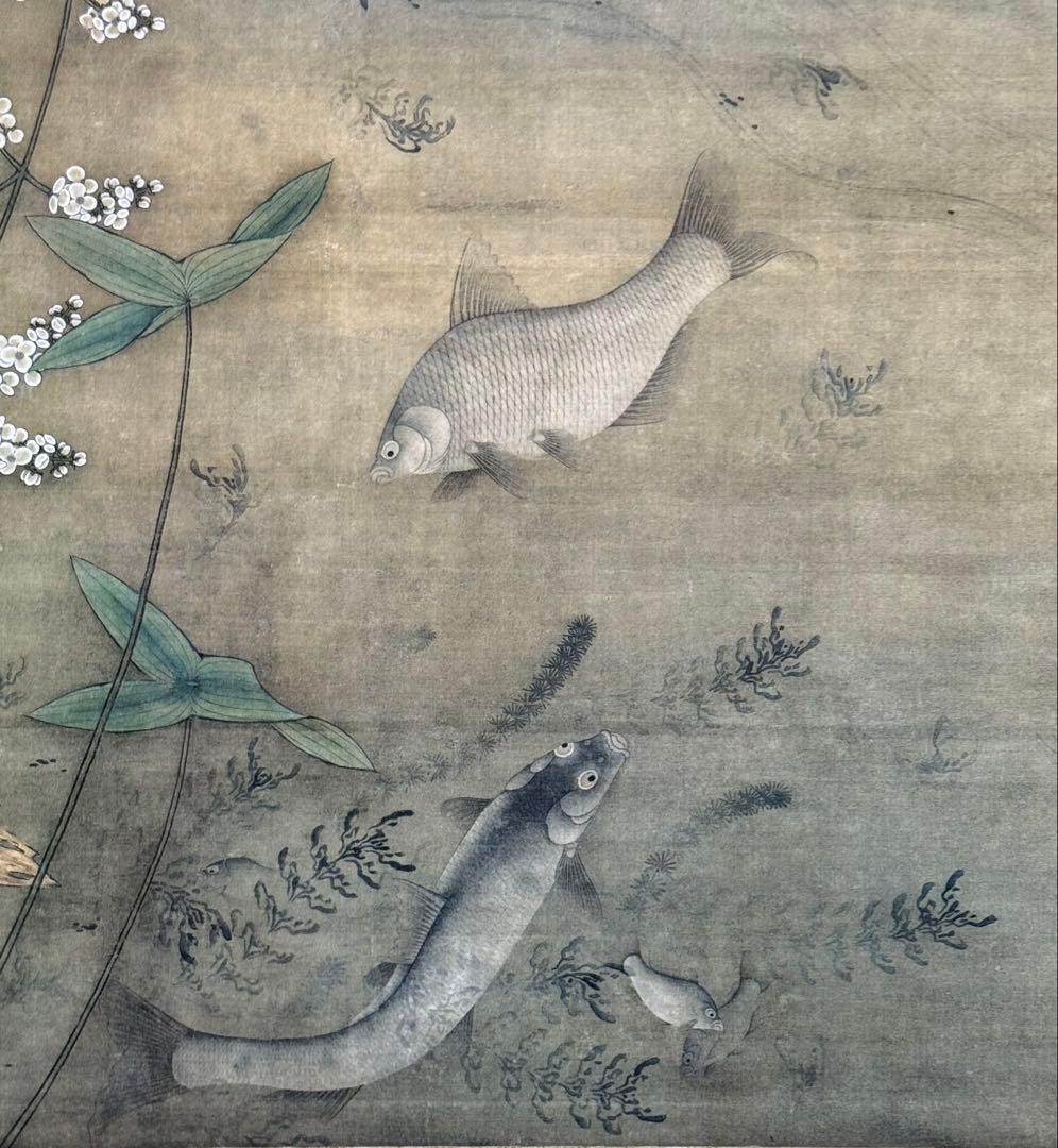 中国　明時代　繆輔　魚藻圖　絹本　原色複製　◇検故宮博物館◇ 一鼎軒0926