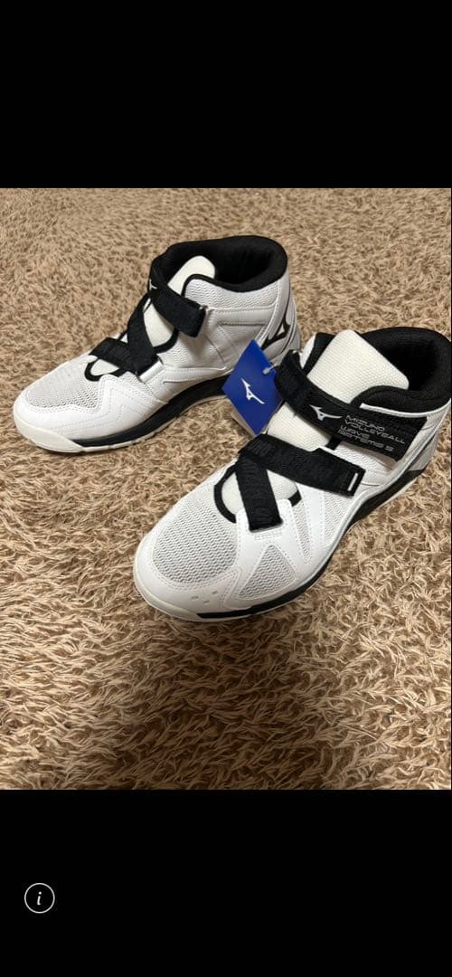 Mizuno バレーボールシューズ 新品タグ付き