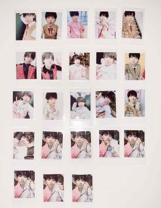 パラゴン パンダドラゴン チェキ