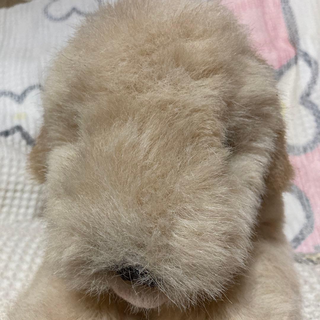 吉徳　ゴールデンレトリバー　ぬいぐるみ　中古品