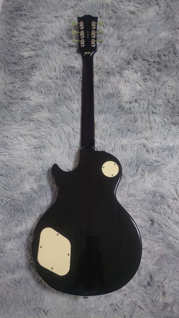 ESP glassroots エレキギター 虎目 レスポールタイプ