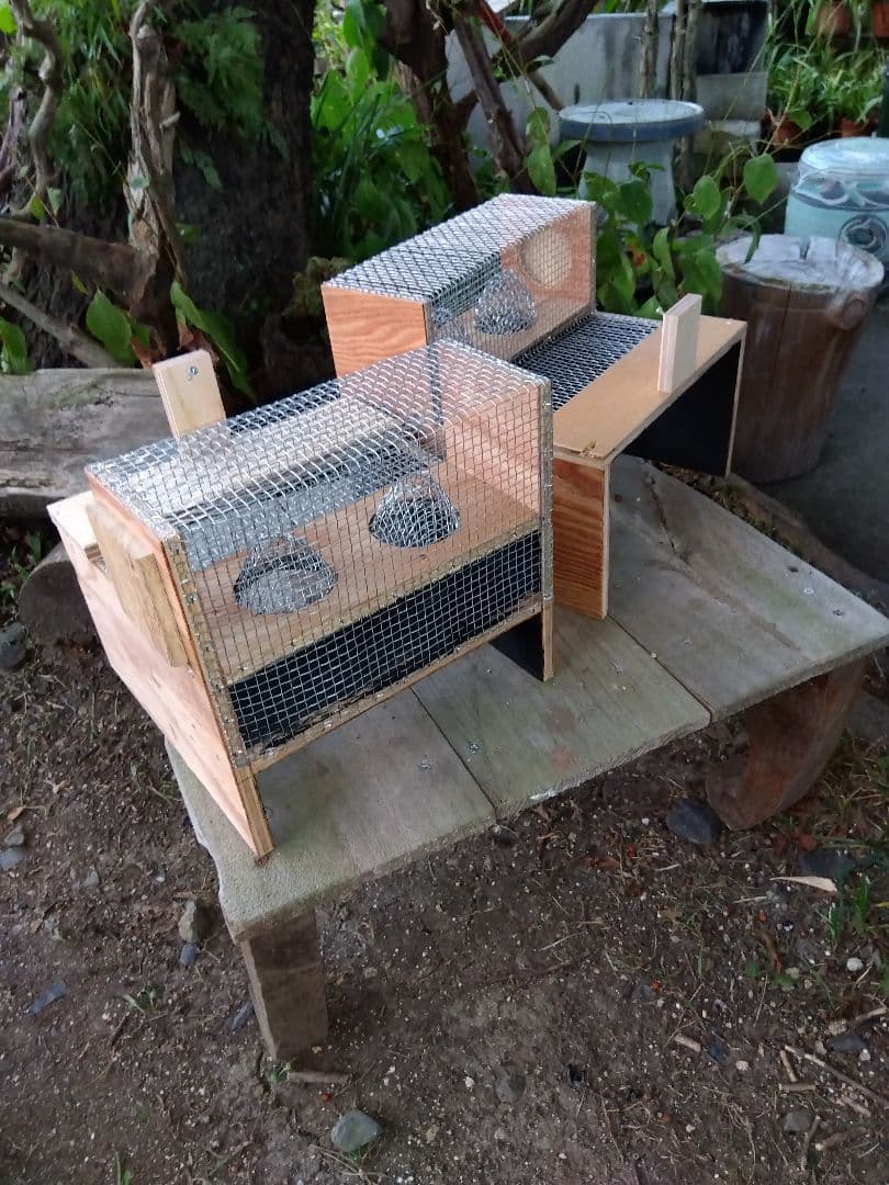 スズメバチ捕獲器 スズメバチ生捕器 2個売りです
