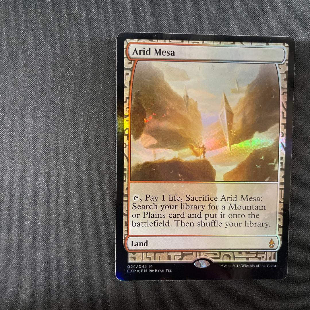 Arid Mesa 乾燥大地 FOIL 024/045 MTG