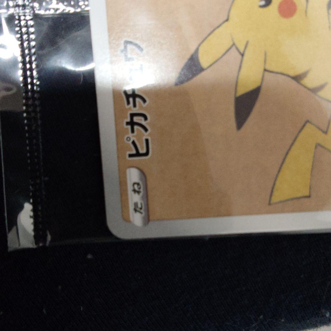 ポケモン切手BOX～ポケモンカードゲーム 見返り美人・月に雁セット～