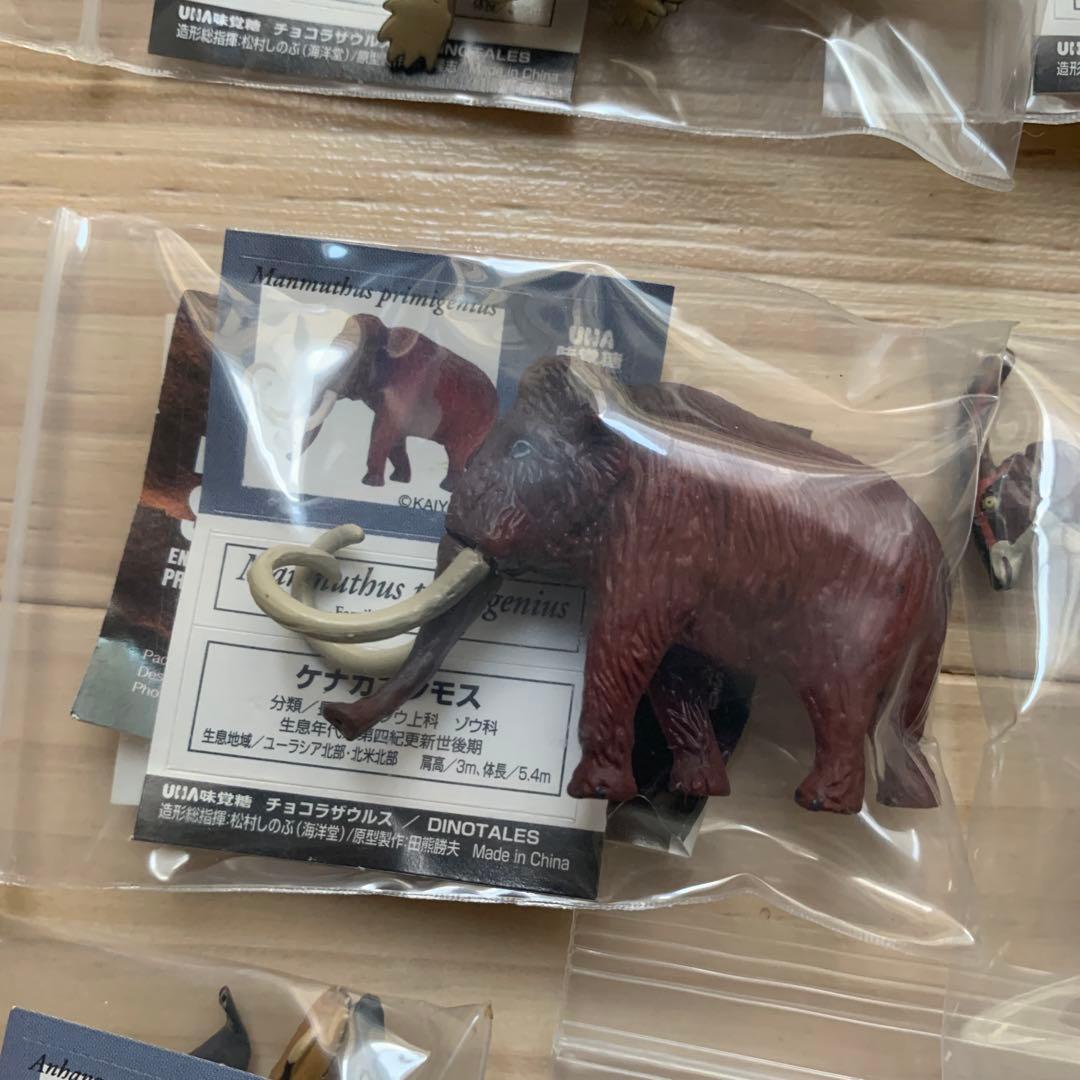 チョコラザウルス シリーズ 恐竜 古代生物 フィギュア セット まとめ売り レア