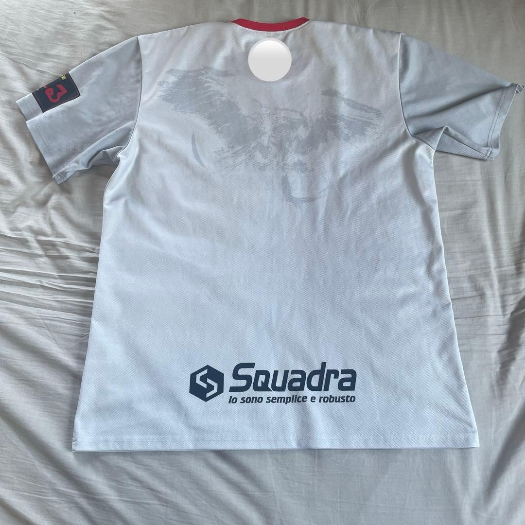 大分三好ヴァイセアドラー　バレーボール　バレー　練習着　Tシャツ