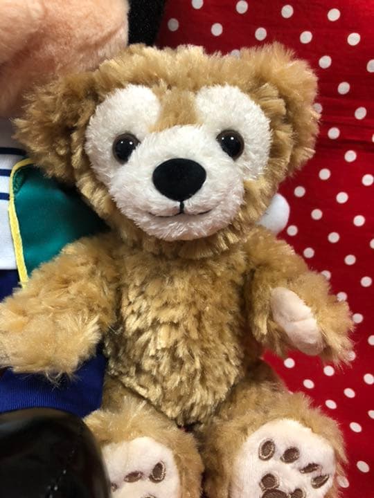 お顔厳選　ディズニーシー　ミッキー＆ダッフィー　ワンダフルヴォヤッジ　ぬいぐるみ