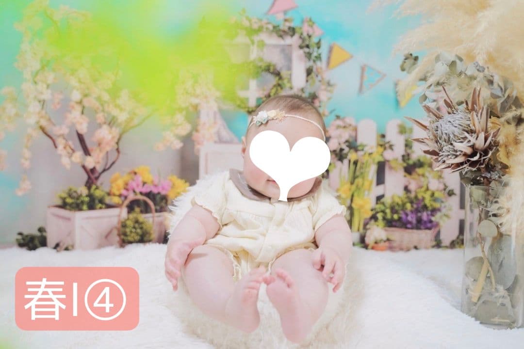 背景布×10+2　ペット撮影用フォトブース　トリミングチョーカー販売中　Xmas