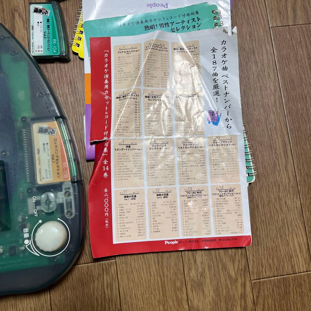 希少 楽器 らっき組 持った時から弾ける・唄える 電子ギター　カラオケ