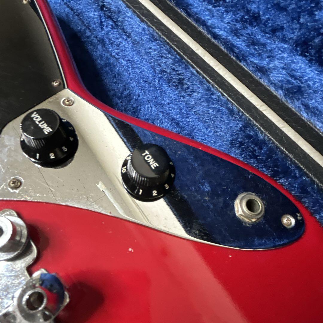 トムソン　ムスタング