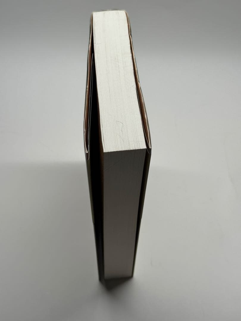 絵画の準備を！　松浦寿夫　岡崎乾二郎