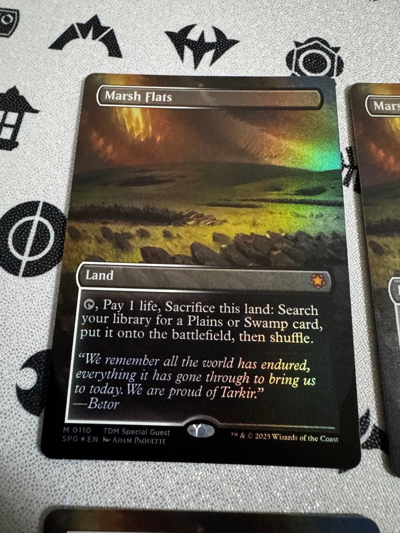 4枚セット 湿地の干潟 foil 英語