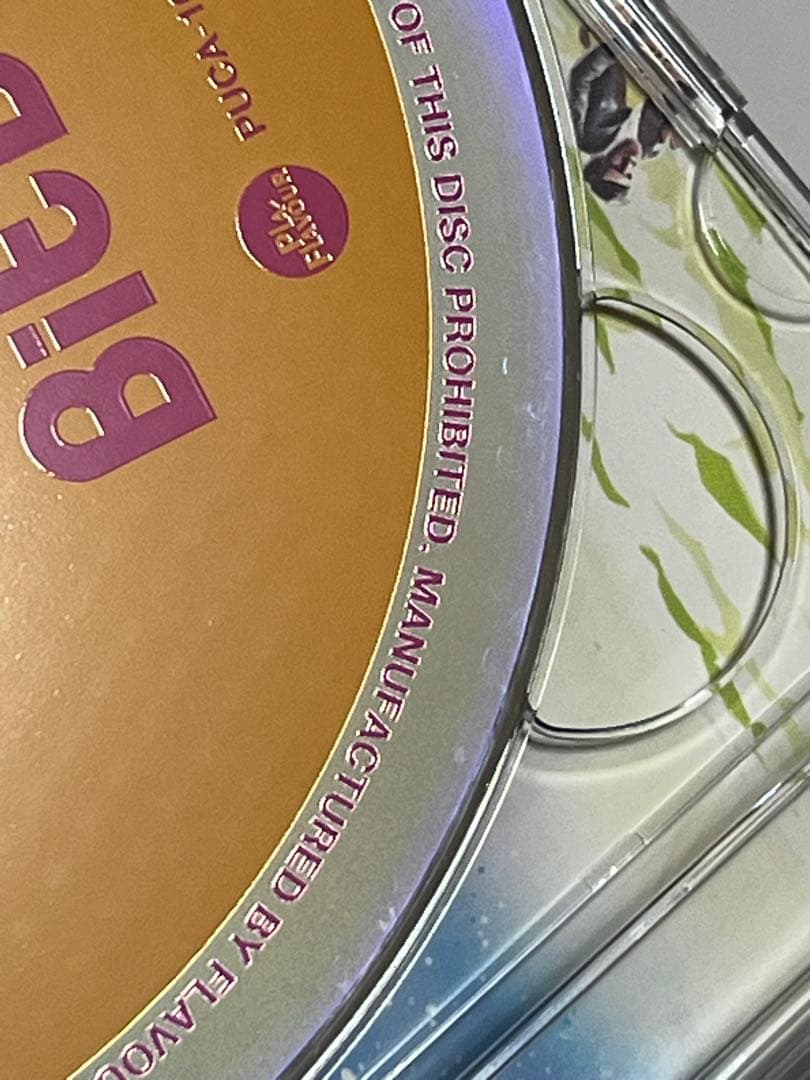 ビットルズ ビットデイズ1 天才ビットくん CD＋DVD