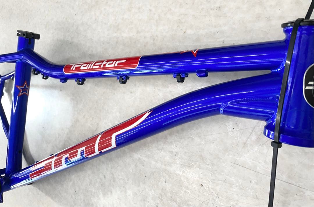 専用　DMR TRAILSTARフレームのみ