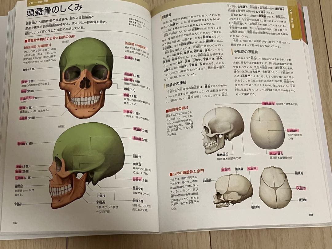薬学部 教科書 参考書 1冊500円〜
