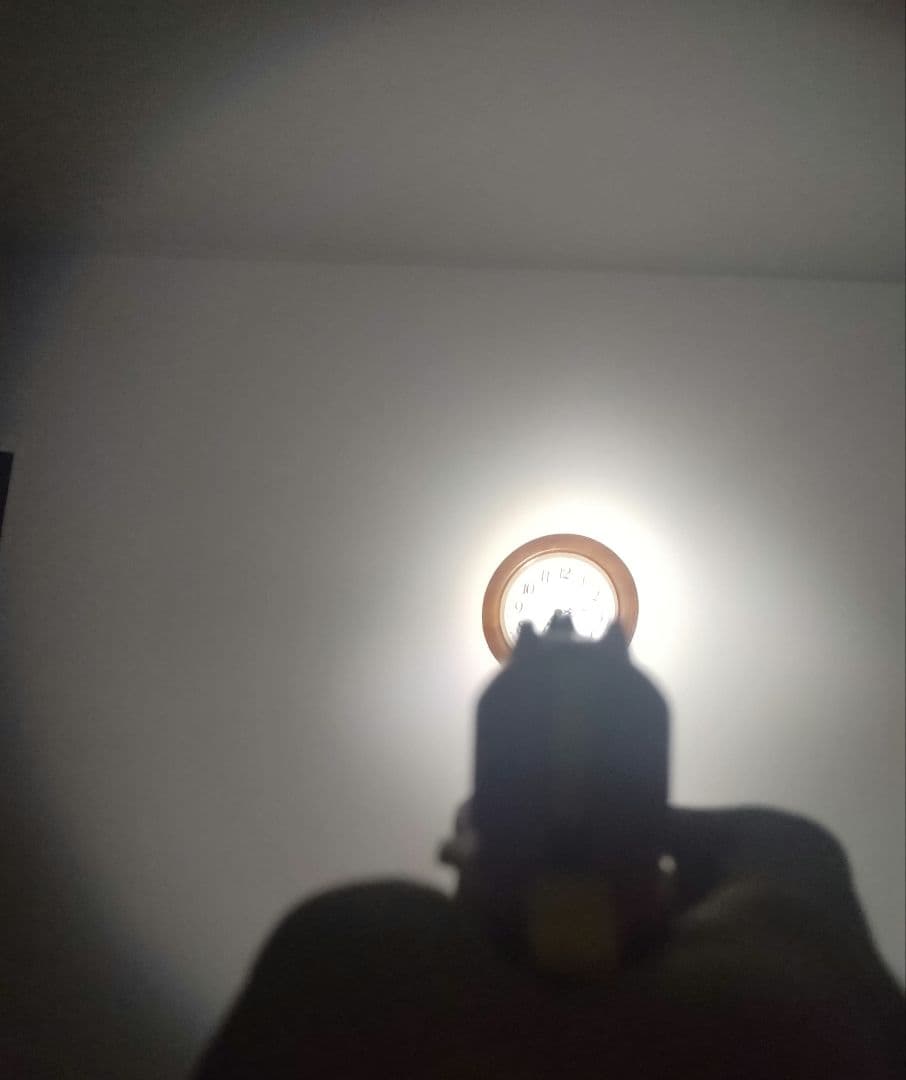 SUREFIRE L1 lunamax　初期型