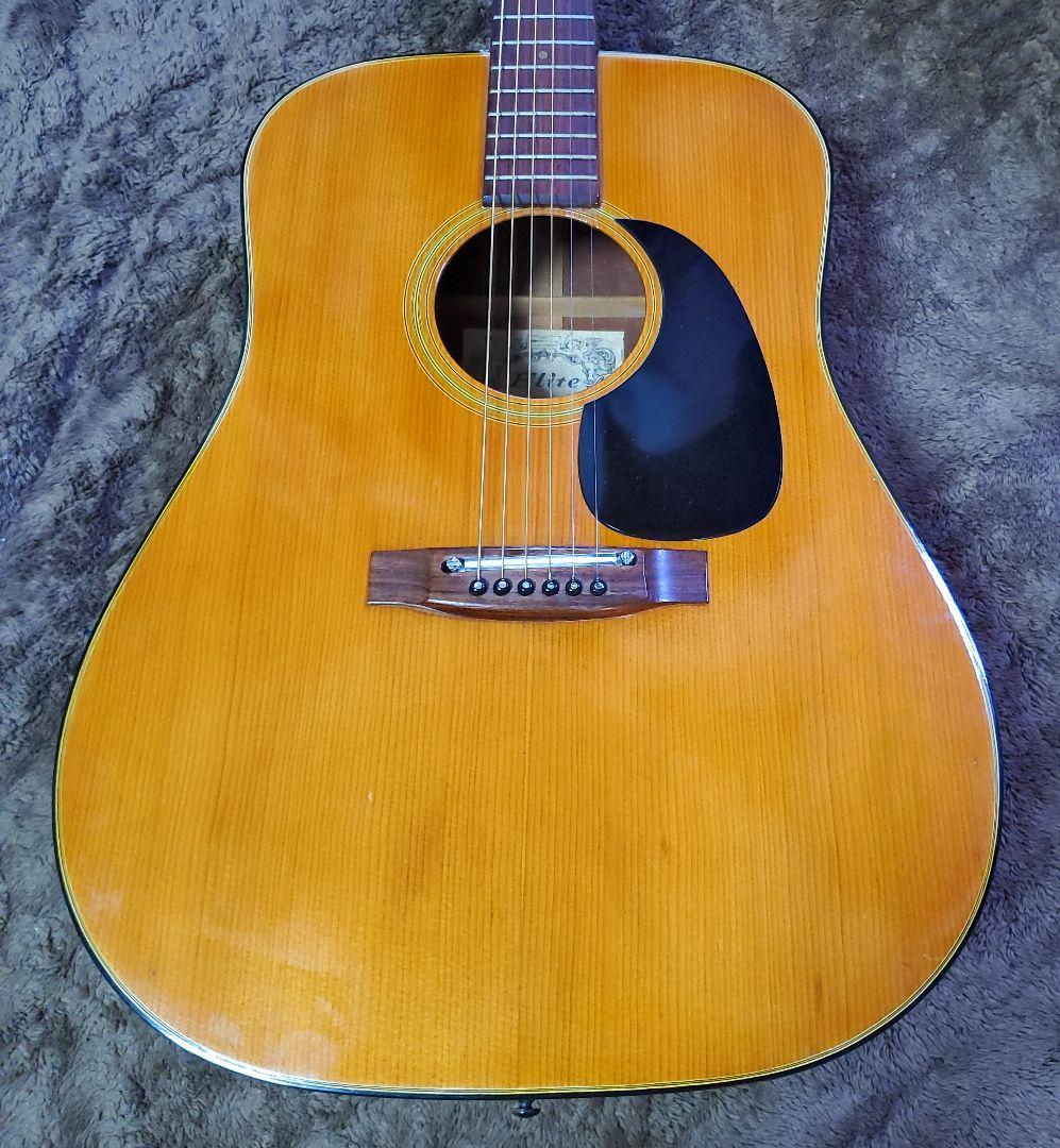Takamine Elite TW-13 タカミネ エリートD-28 コピー