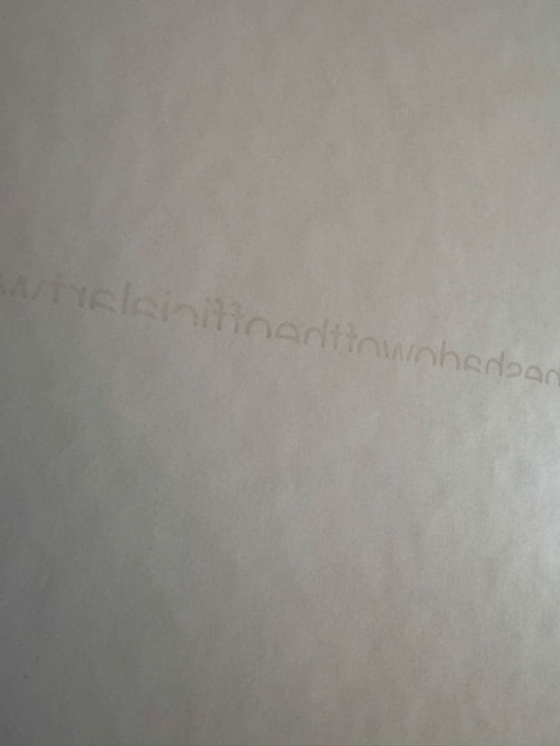 新品 the shadow of the official art works